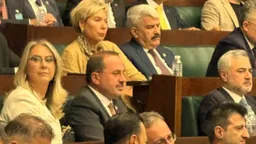kapak_akp grubunda gorulmustu leyla alaton akpye katiliyor iddialarini yanitladi erdogan ile ne gorustu 591339