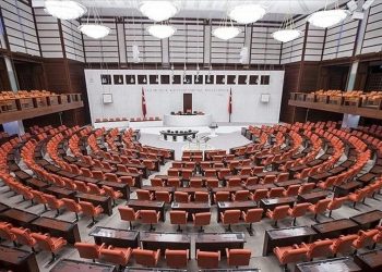 Düzen siyaseti ve kitleler