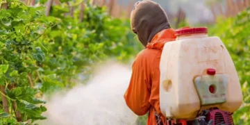 Günden güne büyüyor: Tarımda pestisit gerçeği