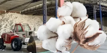 Holdingleşen TARİŞ’te skandallar bitmiyor: 57 milyonluk avans iddiası