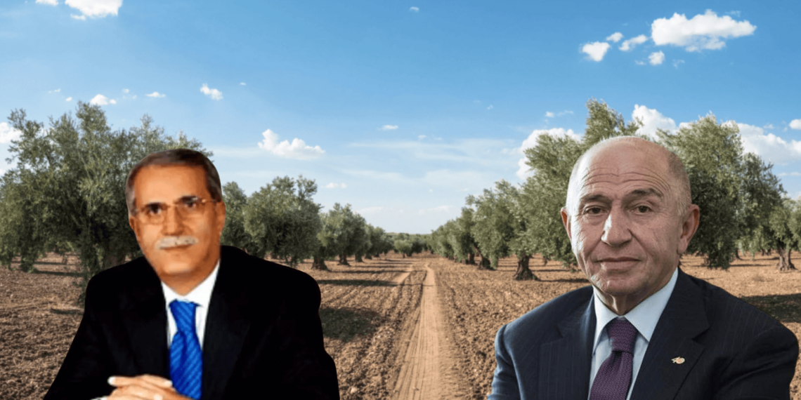 Zeytinliklere yeni saldırı: AKP’nin maden yasası kime yaradı?