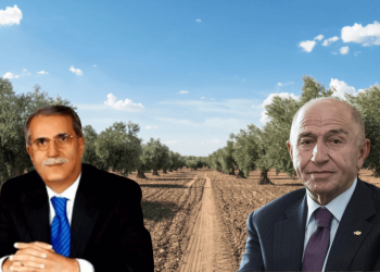 Zeytinliklere yeni saldırı: AKP’nin maden yasası kime yaradı?