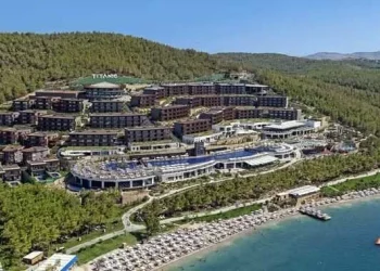 Yanan ormanların yerinde rant yeşeriyor: Kaybeden halk, kazanan sermaye