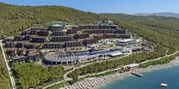 Yanan ormanların yerinde rant yeşeriyor: Kaybeden halk, kazanan sermaye