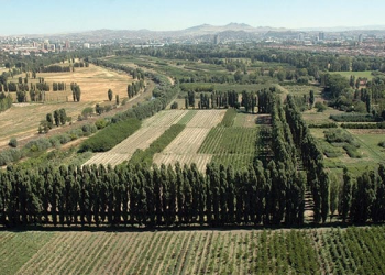 Atatürk Orman Çiftliği üzerinden kamusal varlığa açık saldırı